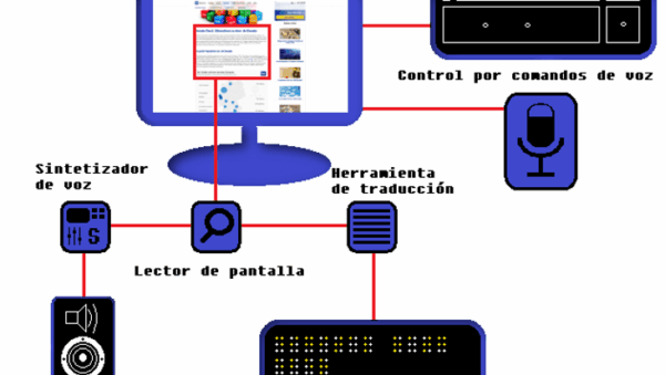 Lectores de pantalla: software para necesidades especiales - IONOS ...