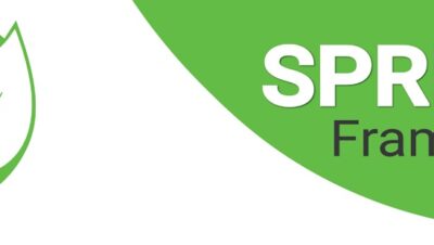 Spring: Conoce este framework de Java | Alura Cursos Online